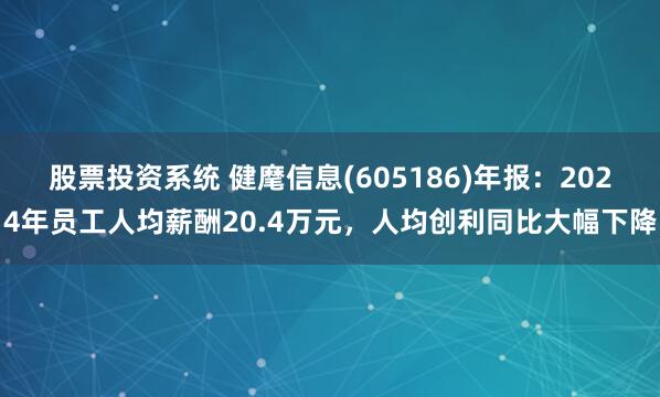 股票投资系统 健麾信息(605186)年报：2024年员工人均薪酬20.4万元，人均创利同比大幅下降