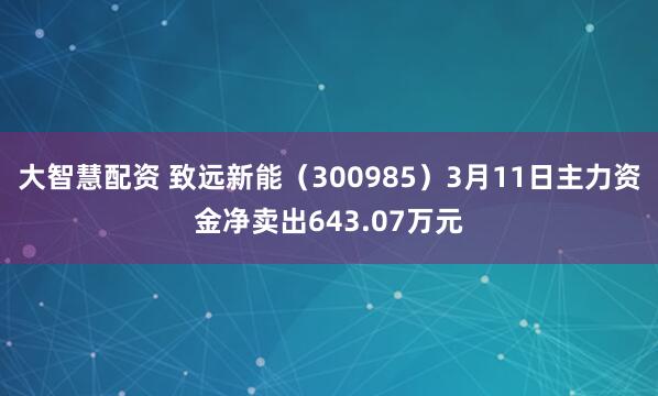 大智慧配资 致远新能（300985）3月11日主力资金净卖出643.07万元