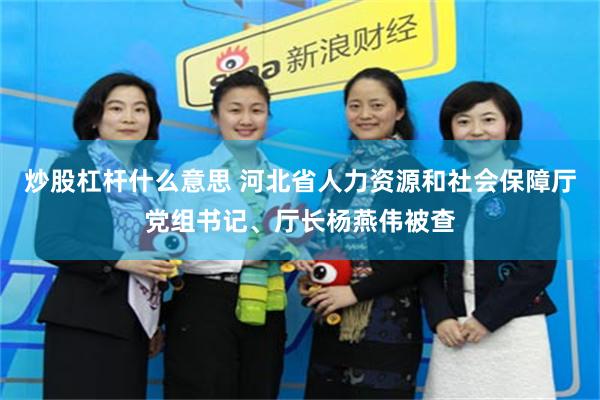 炒股杠杆什么意思 河北省人力资源和社会保障厅党组书记、厅长杨燕伟被查