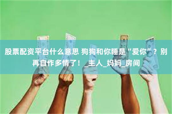 股票配资平台什么意思 狗狗和你睡是“爱你”？别再自作多情了！_主人_妈妈_房间