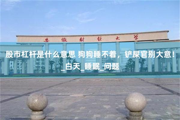 股市杠杆是什么意思 狗狗睡不着，铲屎官别大意！_白天_睡眠_问题