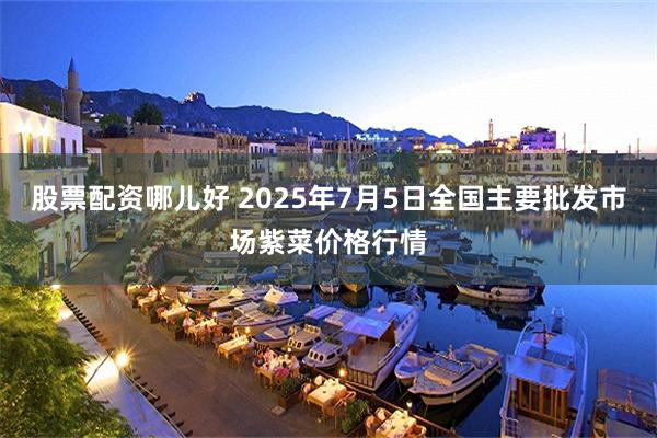 股票配资哪儿好 2025年7月5日全国主要批发市场紫菜价格行情
