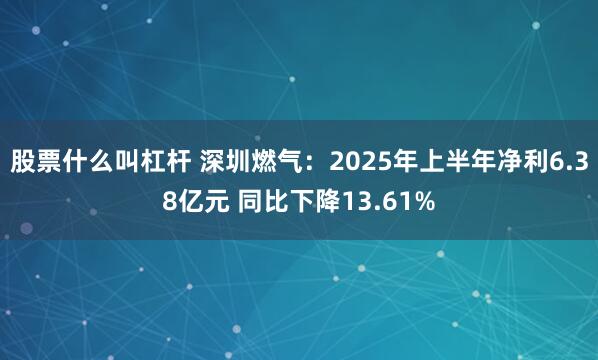 股票什么叫杠杆 深圳燃气：2025年上半年净利6.38亿元 同比下降13.61%