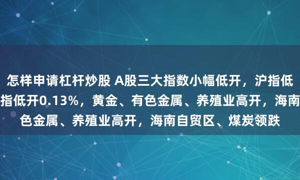 怎样申请杠杆炒股 A股三大指数小幅低开，沪指低开0.05%，创业板指低开0.13%，黄金、有色金属、养殖业高开，海南自贸区、煤炭领跌
