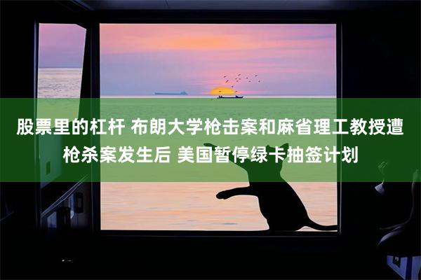 股票里的杠杆 布朗大学枪击案和麻省理工教授遭枪杀案发生后 美国暂停绿卡抽签计划